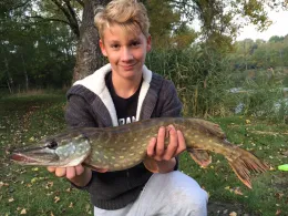 Fortschritt Meuselwitz-4