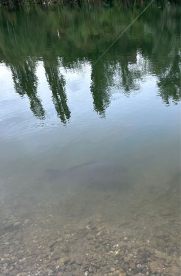 Baggerfeld Köln-Pesch