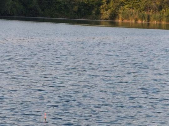 Baggerfeld Köln-Pesch-1