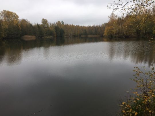 Torfgrube Mittweida-1