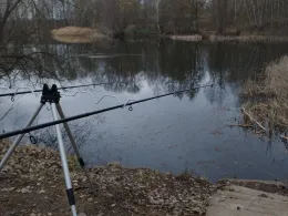 Torfgrube Mittweida-3