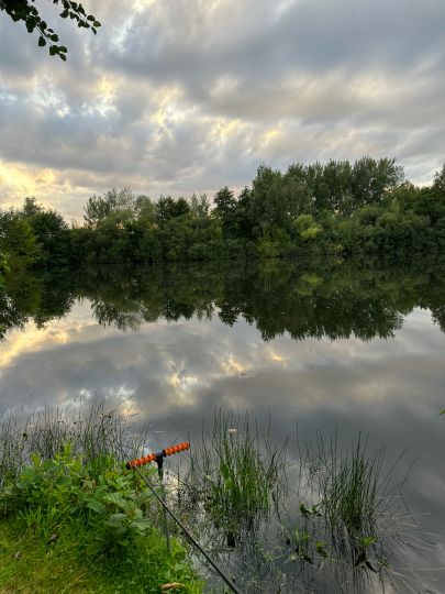 Donner Kiesgrube (Mehlbergen)-1