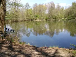 Schleienweiher (Deggendorf)-2