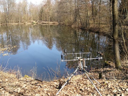 Schleienweiher (Deggendorf)-3