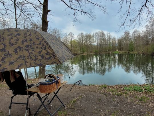 Schleienweiher (Deggendorf)-4