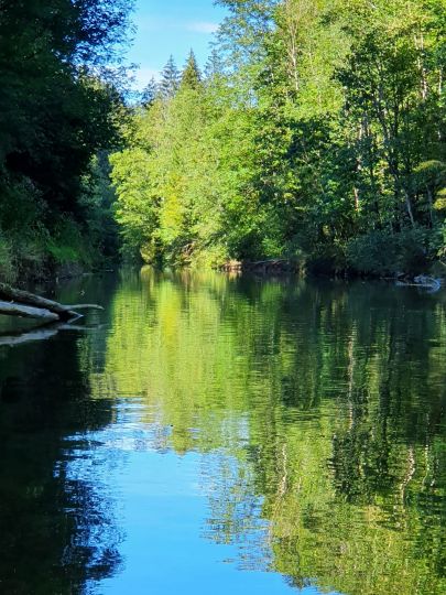 Mangfall (Müller am Baum)-1