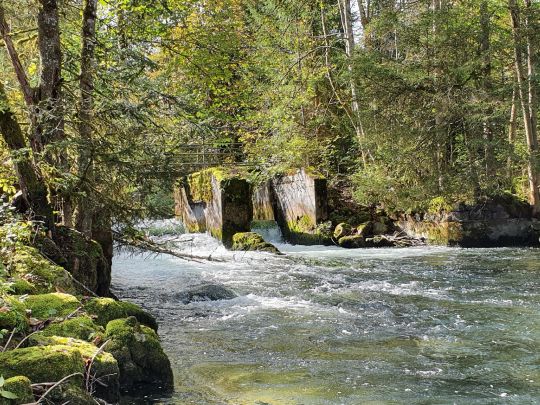 Mangfall (Müller am Baum)-2