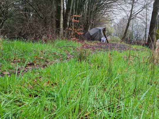 Wiegboldsburer Riede-1