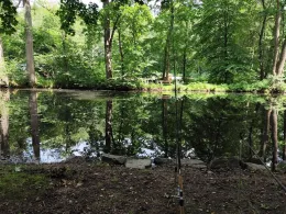 Hammerteich (Zwönitz)-3