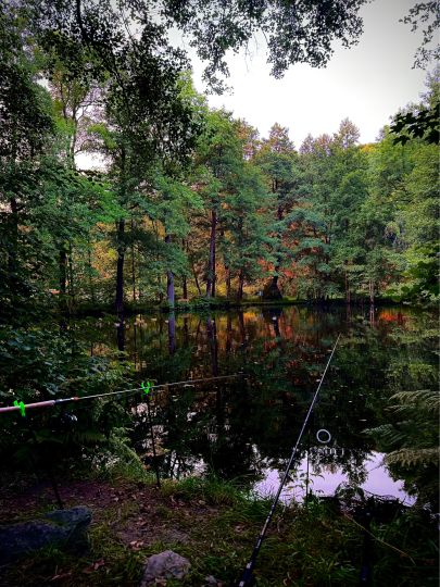 Hammerteich (Zwönitz)-4