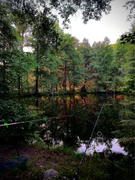 Hammerteich (Zwönitz)-4