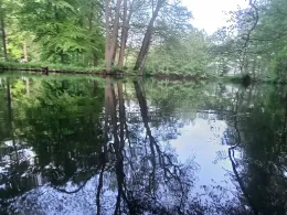 Hammerteich (Zwönitz)-2