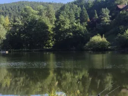 Grimmwiesensee-3