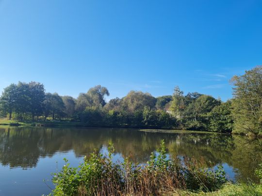 Schwarzerdener Weiher-1