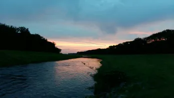 Neue Luppe (Schkeuditz)-2