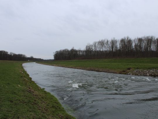 Neue Luppe (Schkeuditz) angeln