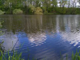 Mühlteich (Pomßen)-3