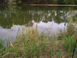 Mühlteich (Pomßen)-2