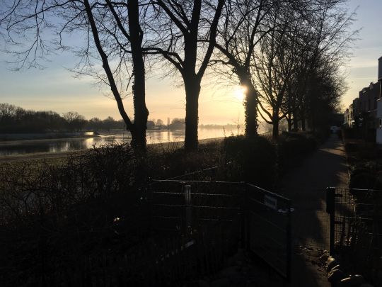 Werdersee (Bremen)-1