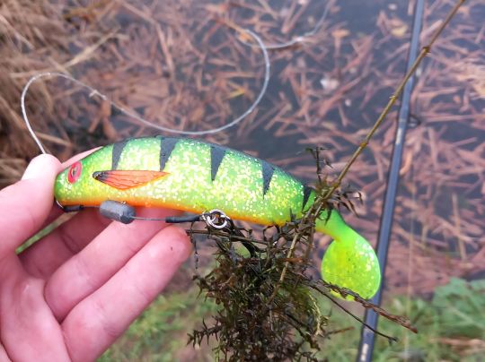 Werdersee (Bremen)-3