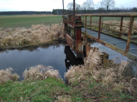 Elbe-Havel-Kanal (Niegripp)-1