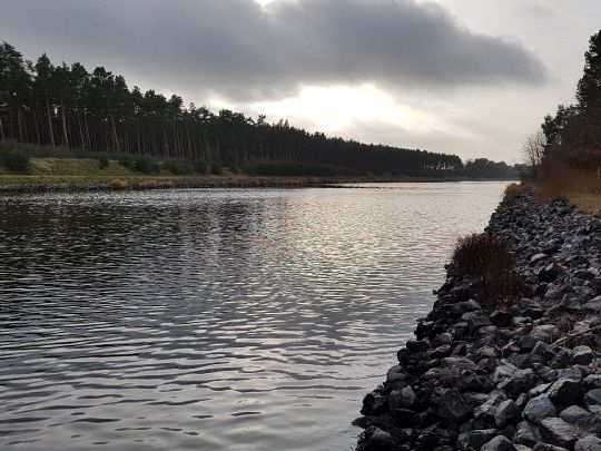 Elbe-Havel-Kanal (Niegripp)-3