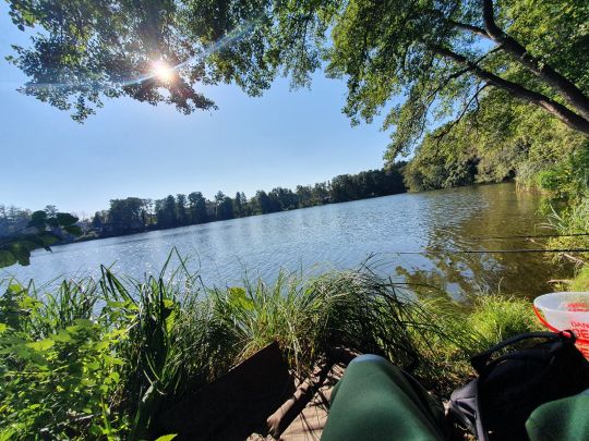 Boddensee (Birkenwerder)-1