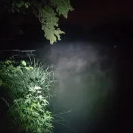 Boddensee (Birkenwerder)