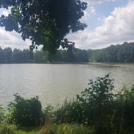 Boddensee (Birkenwerder)-4