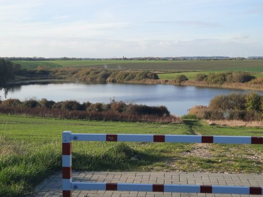 Krebssee (Lieblingshof)-2