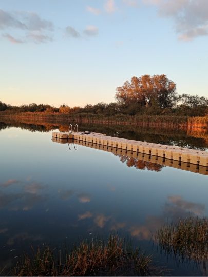 Krebssee (Lieblingshof)-4