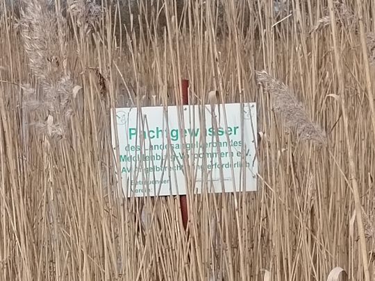 Krebssee (Lieblingshof)-3