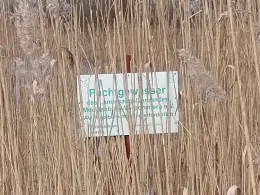 Krebssee (Lieblingshof)-3