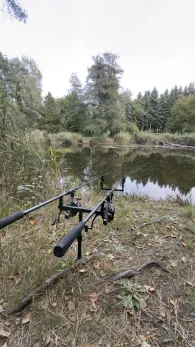 Inselteich (Wolfshain)-3