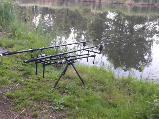 Inselteich (Wolfshain)-1