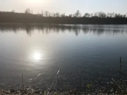 Rotter See (Troisdorf)-4