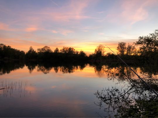 Rotter See (Troisdorf)-2