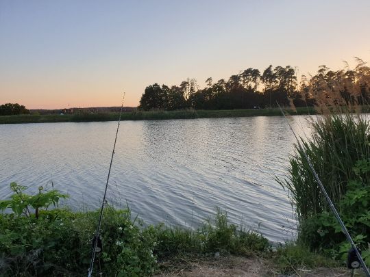 Main-Donau-Kanal (Nürnberg)-4