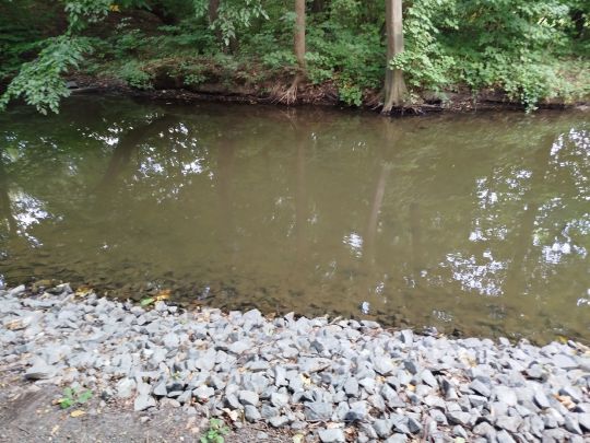 Göselbach (Oeltzschau)