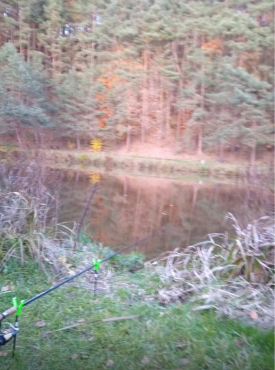 Vereinsteich AV Dorndorf (Kambachsmühle)-1