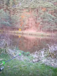 Vereinsteich AV Dorndorf (Kambachsmühle)-1