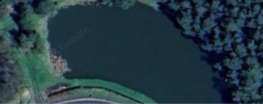 Vereinsteich AV Dorndorf (Kambachsmühle)