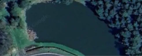 Vereinsteich AV Dorndorf (Kambachsmühle)