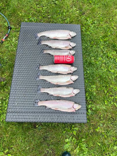 Forellenteich Haus Nienburg-1