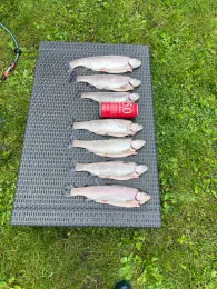 Forellenteich Haus Nienburg-1