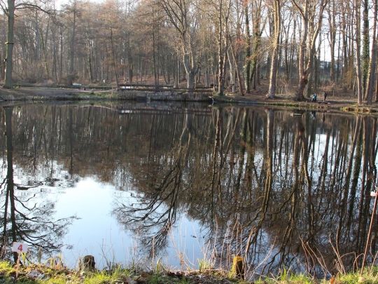 Forellenteich Haus Nienburg