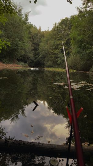 Weiher am Wallgraben (Molbergen)