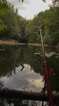Weiher am Wallgraben (Molbergen)