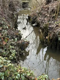 Wimreither Graben (Wurmsham)-1