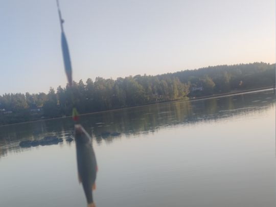 Svinstadsjön (Bankekind)-1